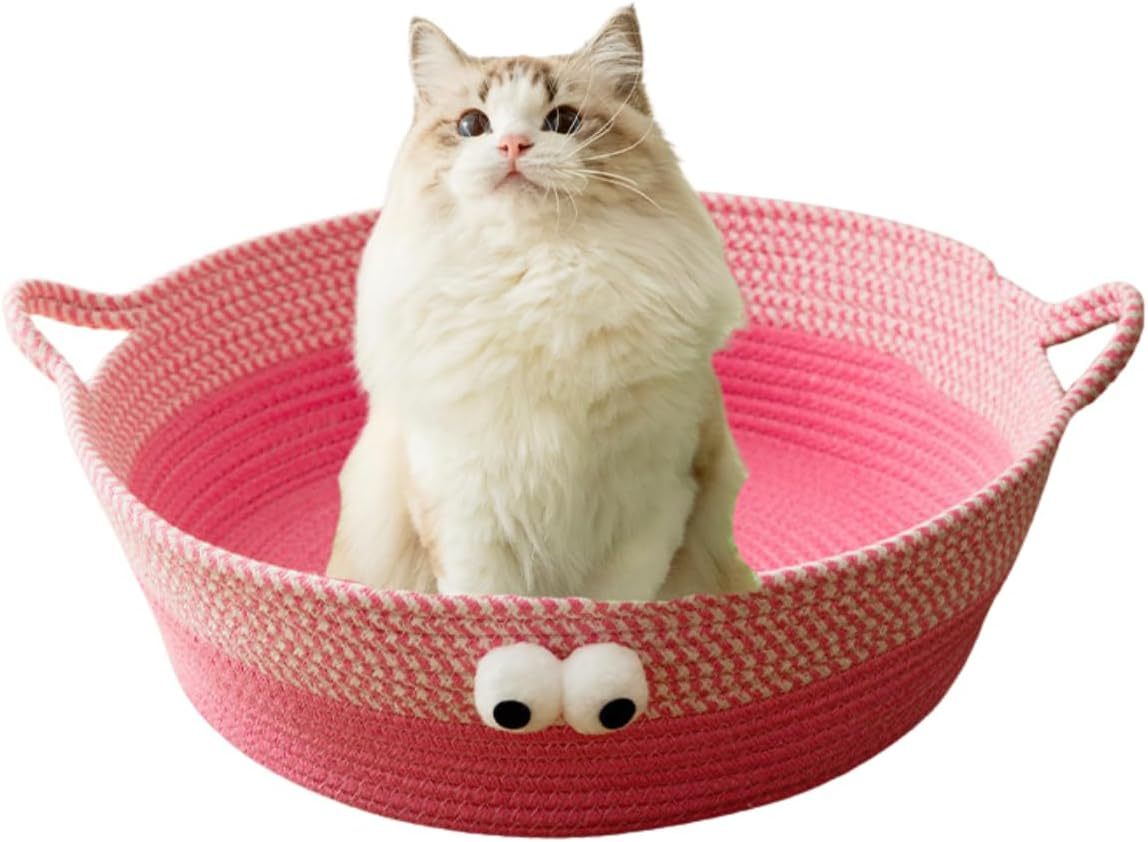 Scratch Cat Bed For Indoor