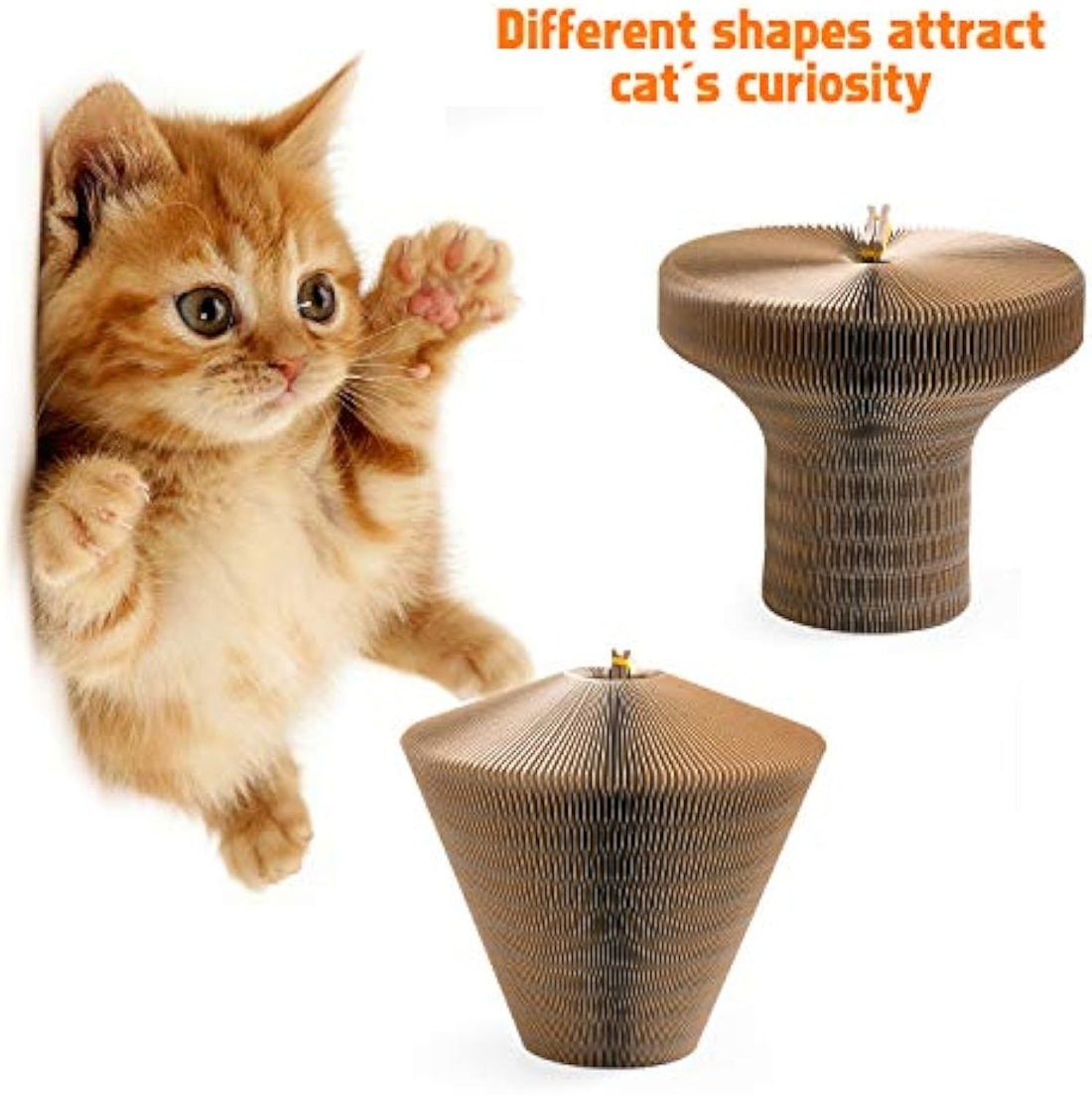 Pet Scratcher Lounge Bed
