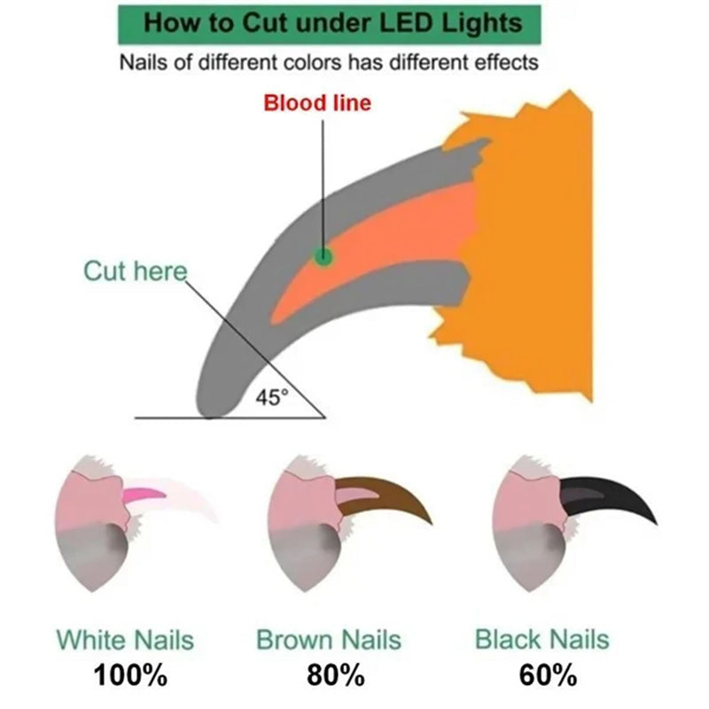 Pet Nail Clippers With LED Light