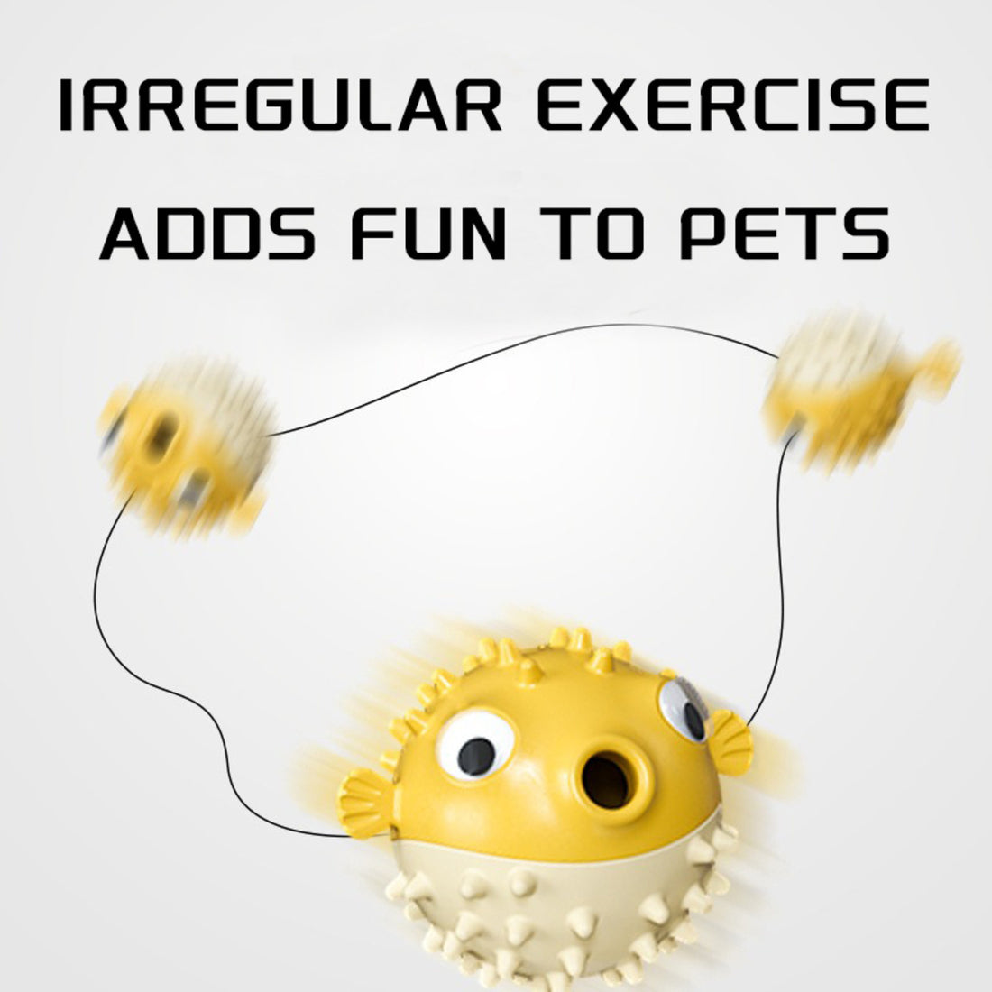 Dog Chew Toys