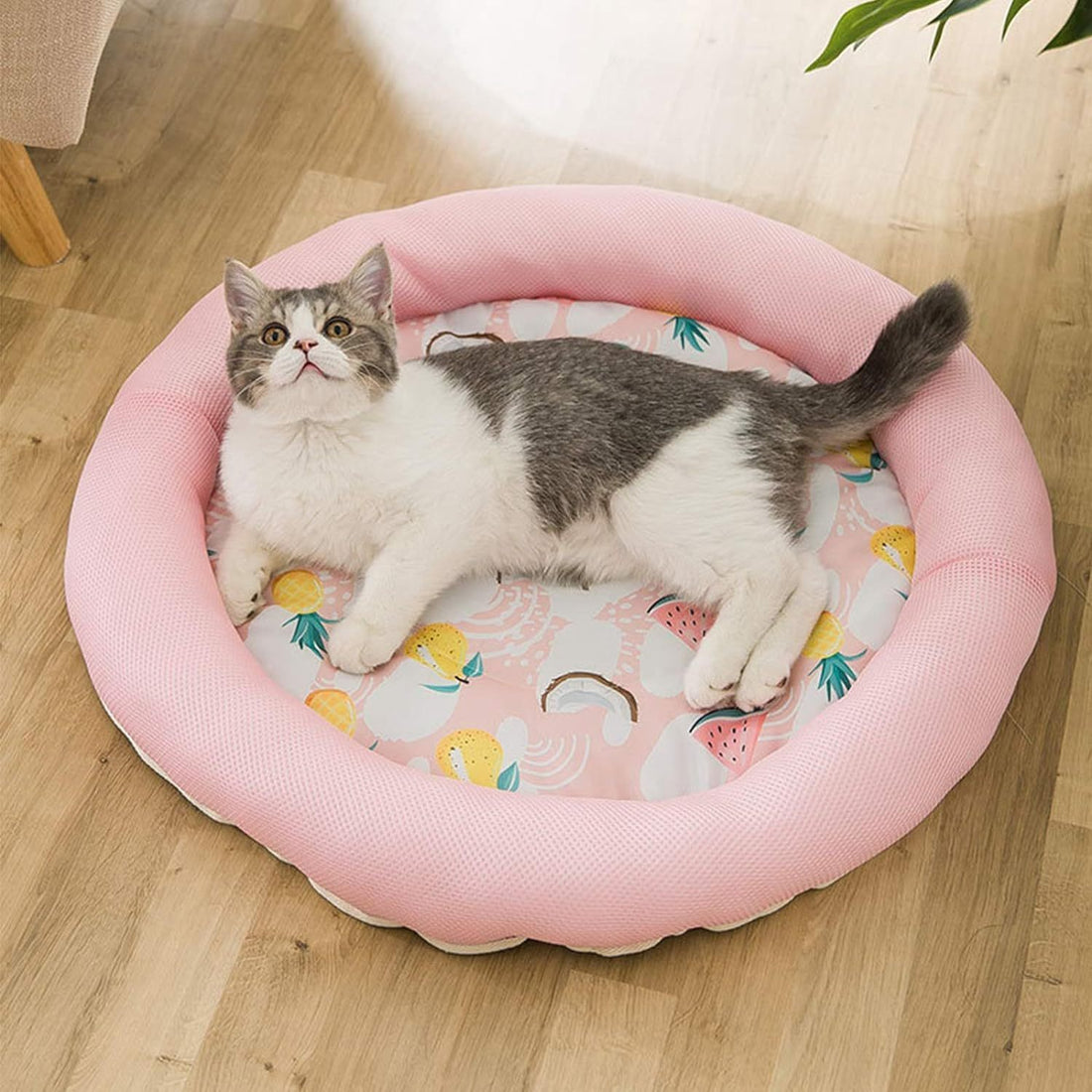 Cooling Dog Bed Soft