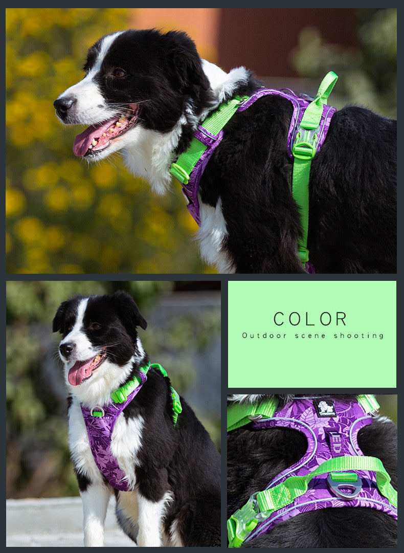 Dog leashes dog chain vest straps