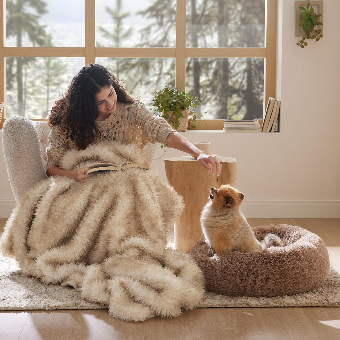 Indoor Solid Color Fluffy Plush Pet Bed