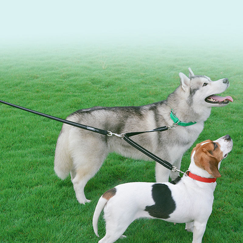 Double-Headed Nylon Dog Leash Reflective