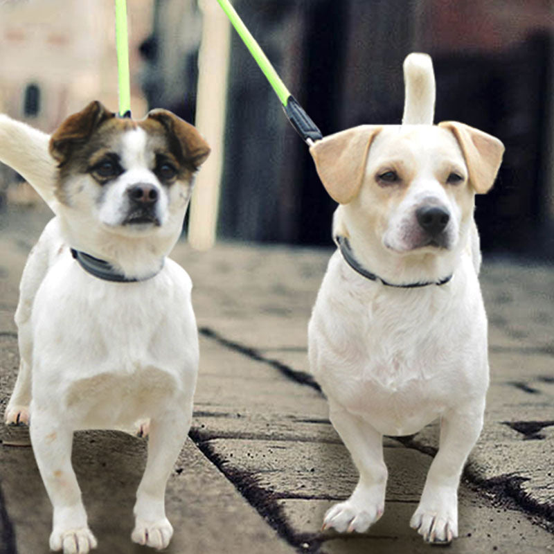 Double-Headed Nylon Dog Leash Reflective