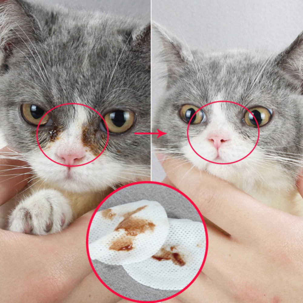 Pet Eye Grooming Wipes Tear Stain Cleaning