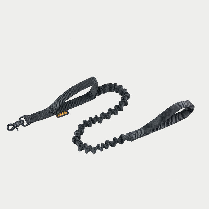 Leash For Large Dogs