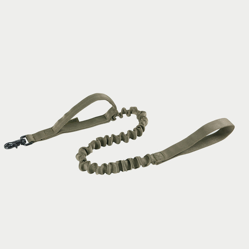Leash For Large Dogs
