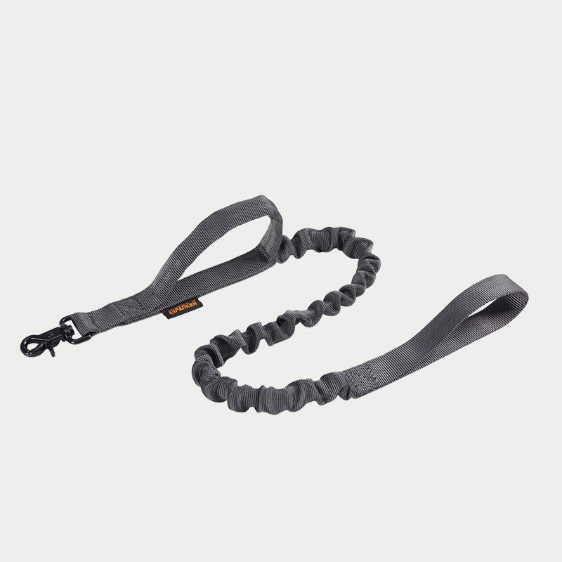 Leash For Large Dogs