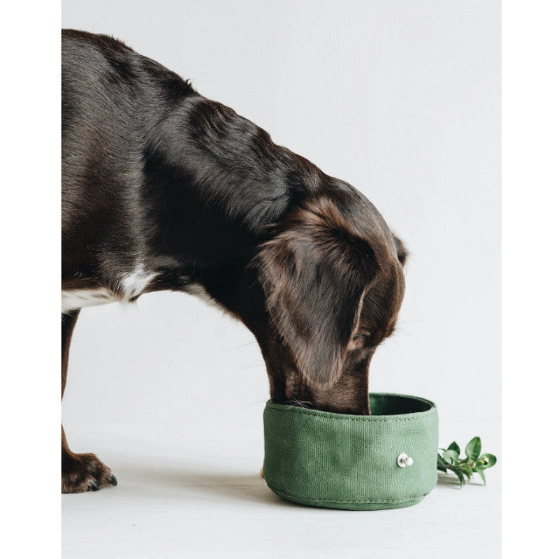 Folding Dog Bowl Canvas Dog