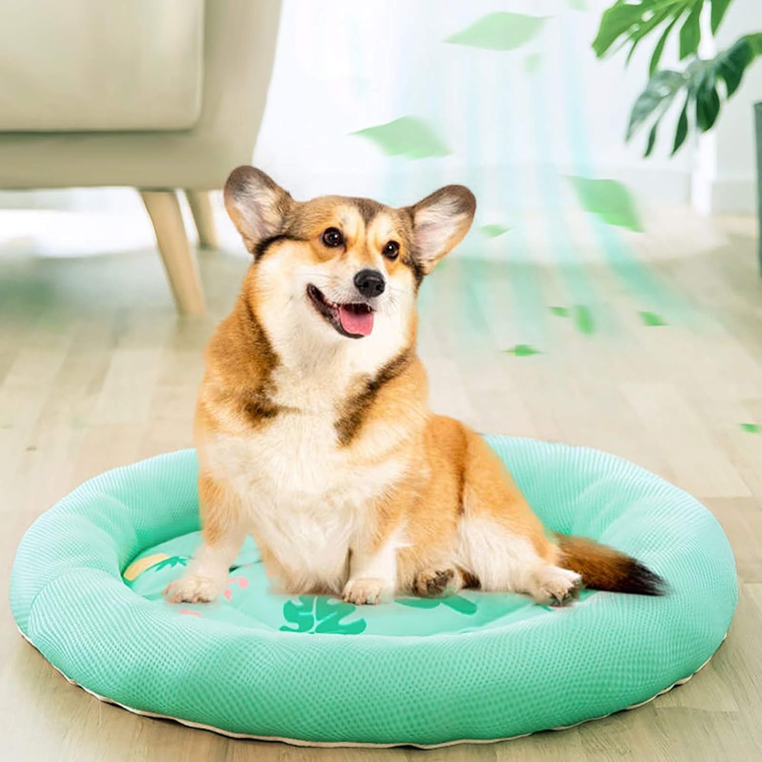 Cooling Dog Bed Soft