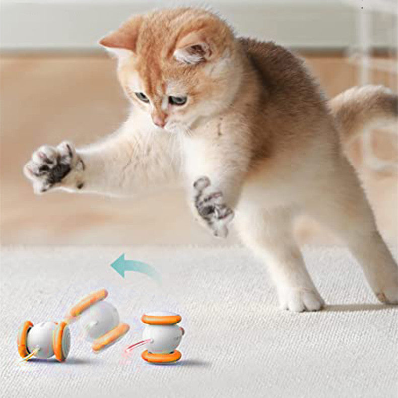 Teasing Cat Charging Toys
