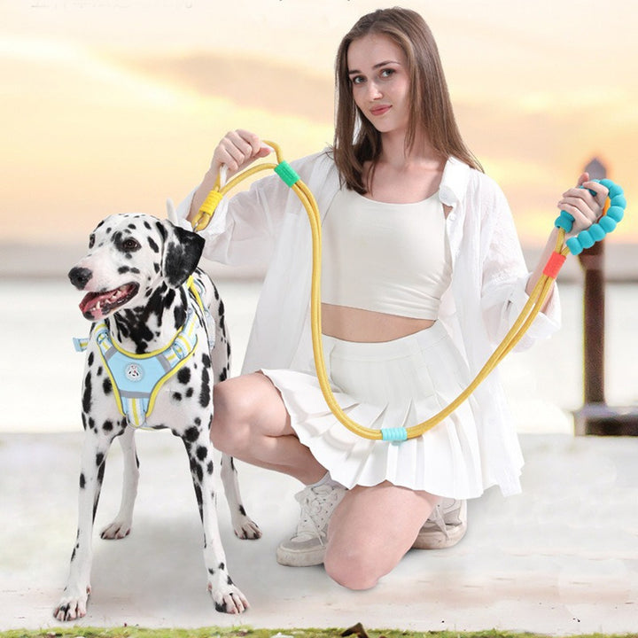Traction Dog Leash Large Dog