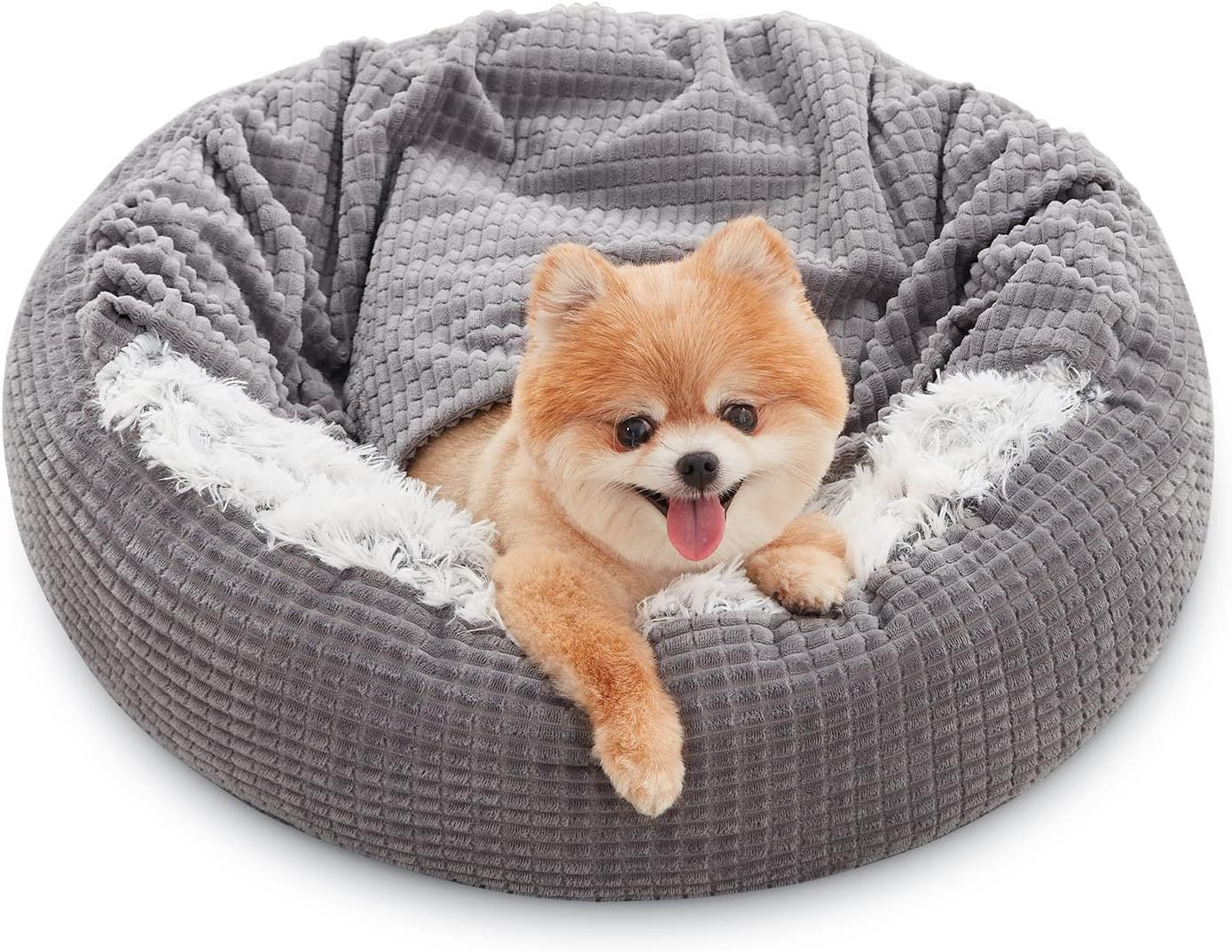 Small Dog Bed With Blanket