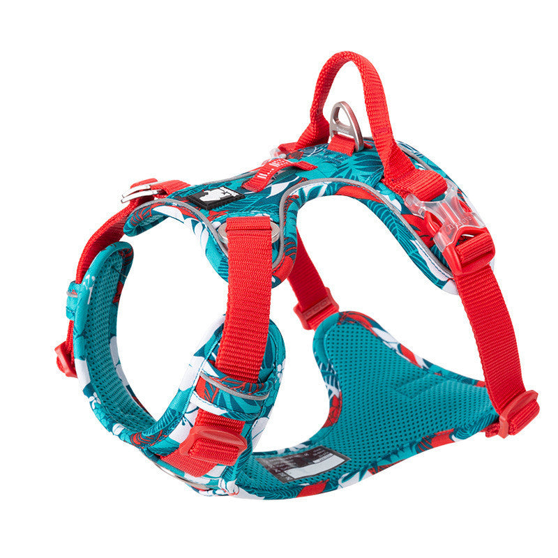 Dog leashes dog chain vest straps