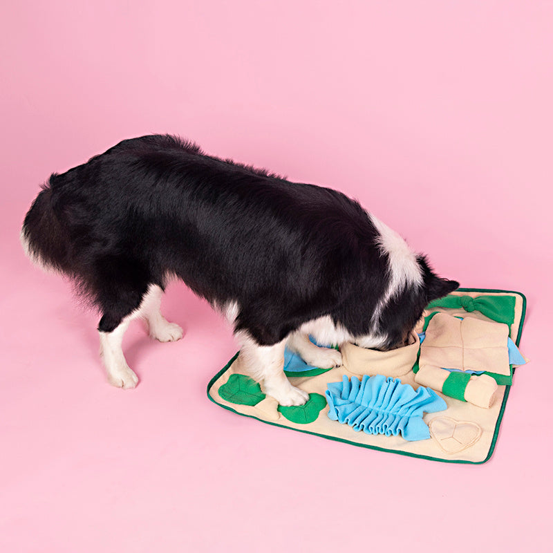 Snuffle Mat for Dogs