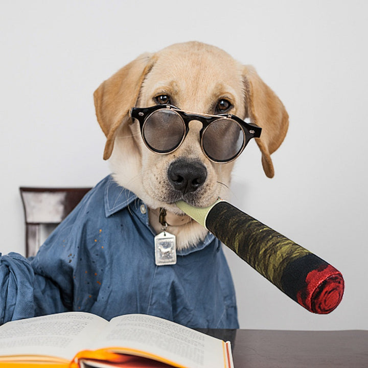 Pet Prank Toys Fake Cigarettes