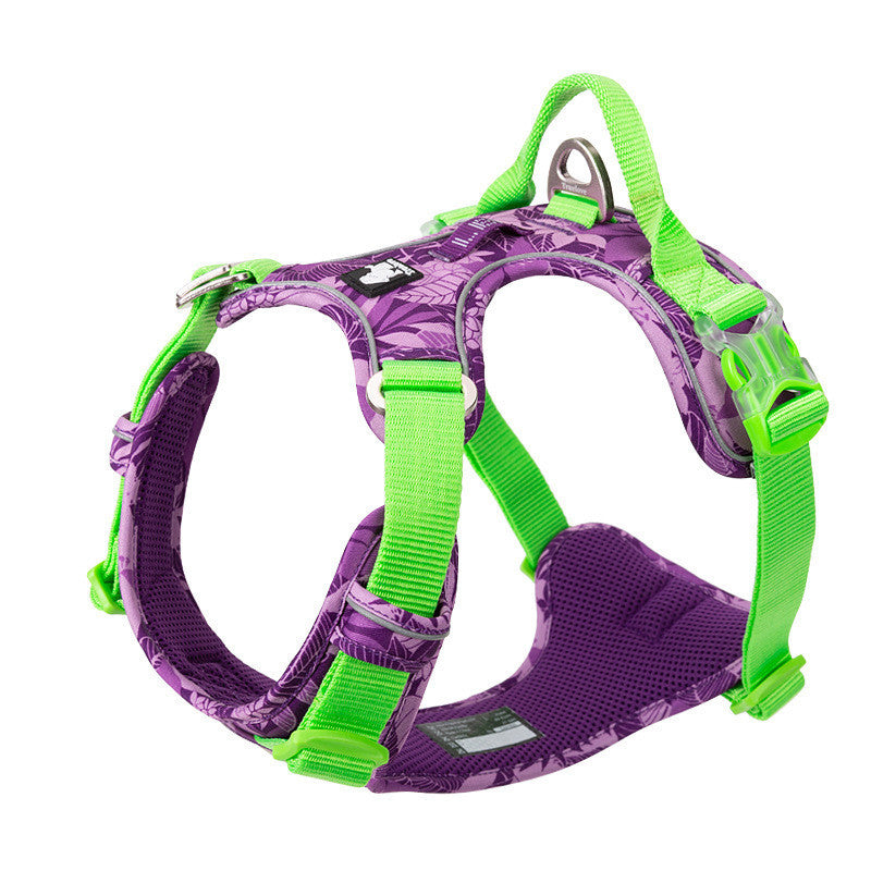Dog leashes dog chain vest straps
