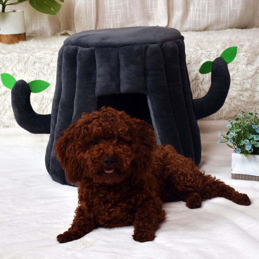 Cat Kennel Cat Supplies Pet