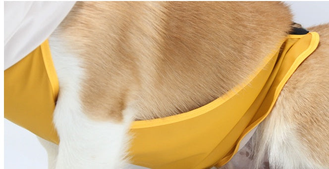 Dog Raincoat Transparent Brim Pet Poncho