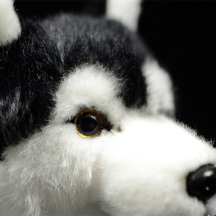 Mandarin Eyes Husky Dog Plush Toys