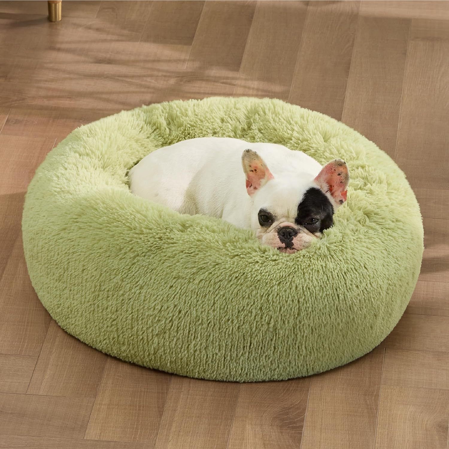 Indoor Solid Color Fluffy Plush Pet Bed