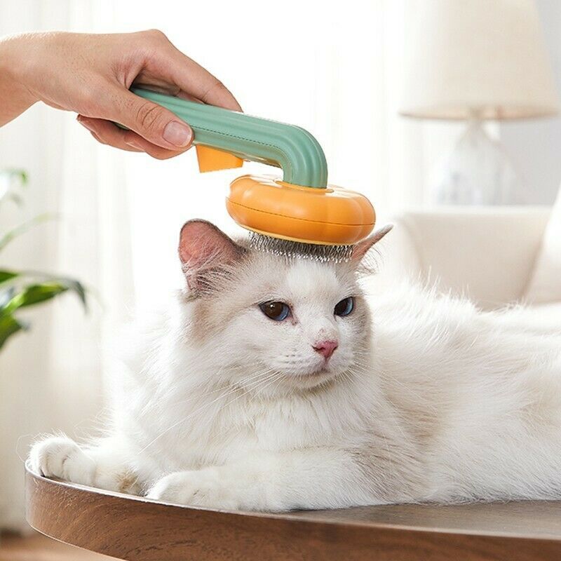 Pumpkin Comb Pet Grooming