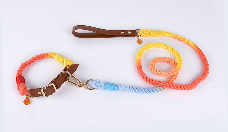 Leather Pet Leash Collar