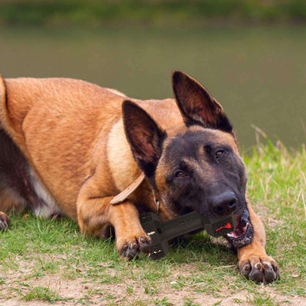 Durable Dog Chew Toys For Aggressive Chewers