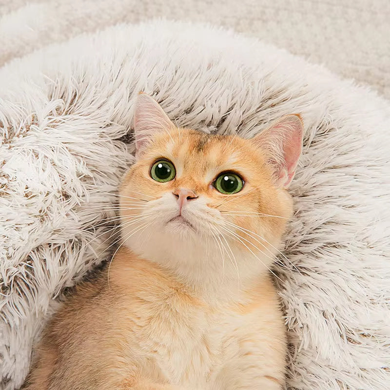 Winter New Long Plush Cat Bed