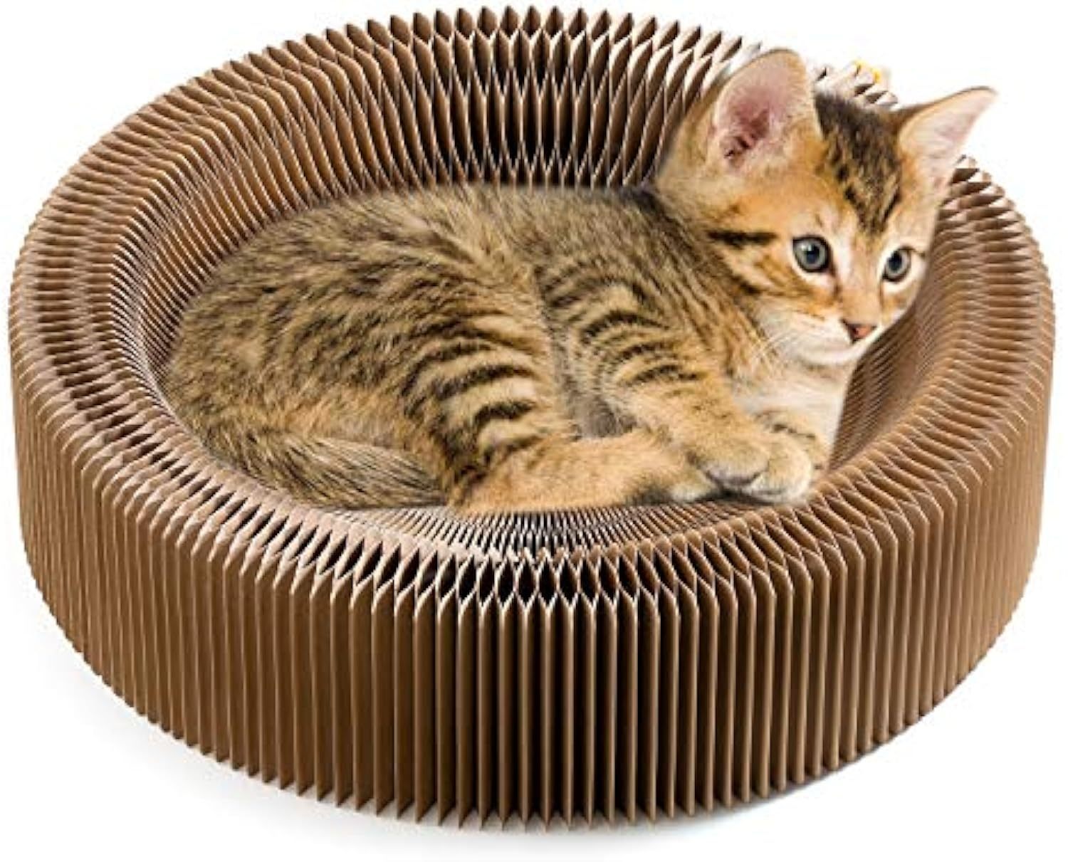 Pet Scratcher Lounge Bed