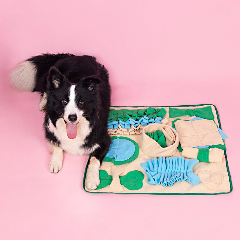 Snuffle Mat for Dogs