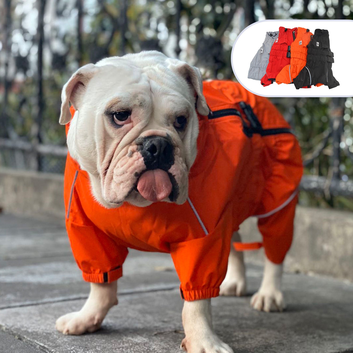 Outdoor Four Legged Dog Raincoat
