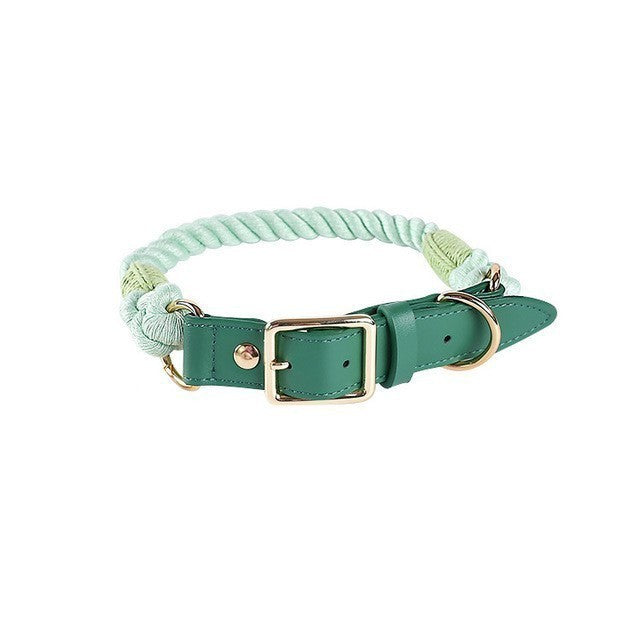 Leather Pet Leash Collar