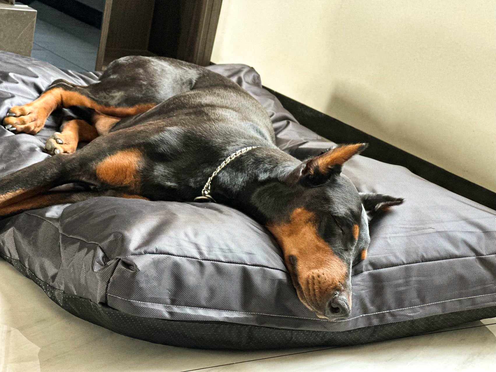 Kennel Bed Sponge Pet House