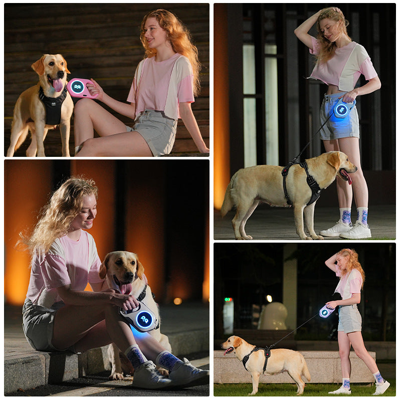 Automatic Retractable Leash Outdoor LED