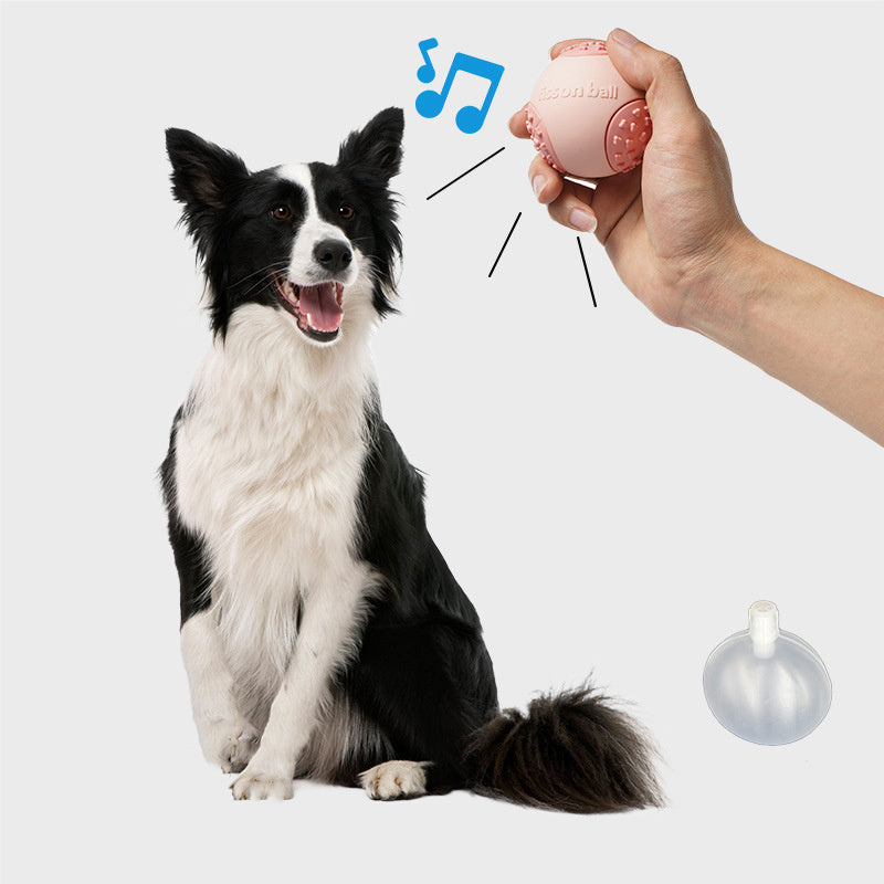 Rolling Ball For Dogs