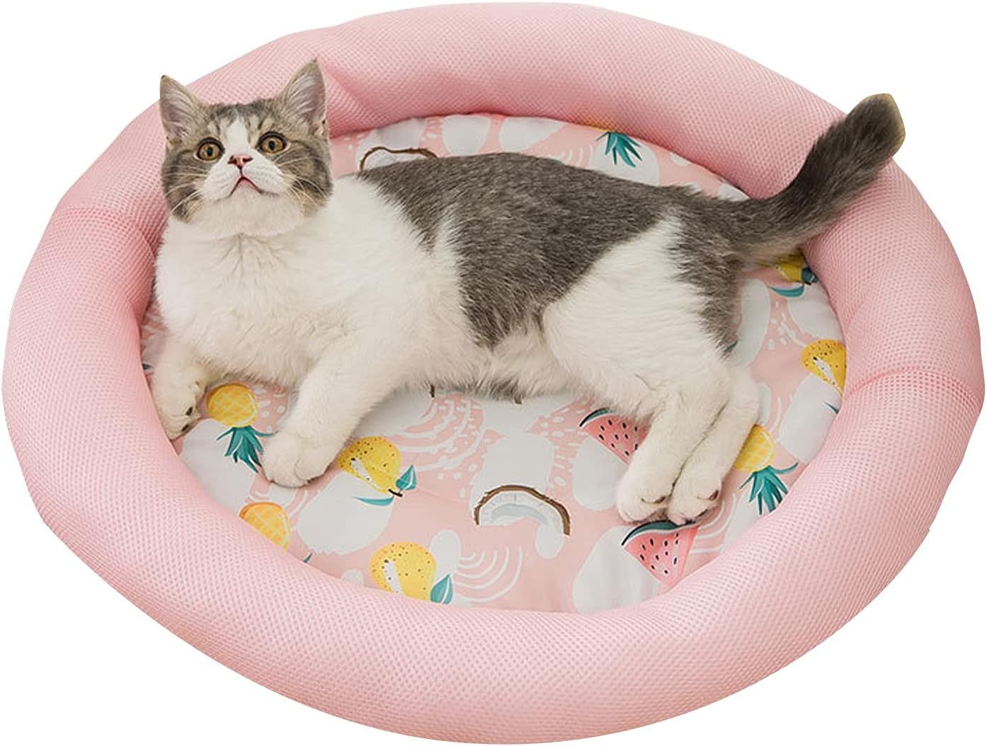 Cooling Dog Bed Soft