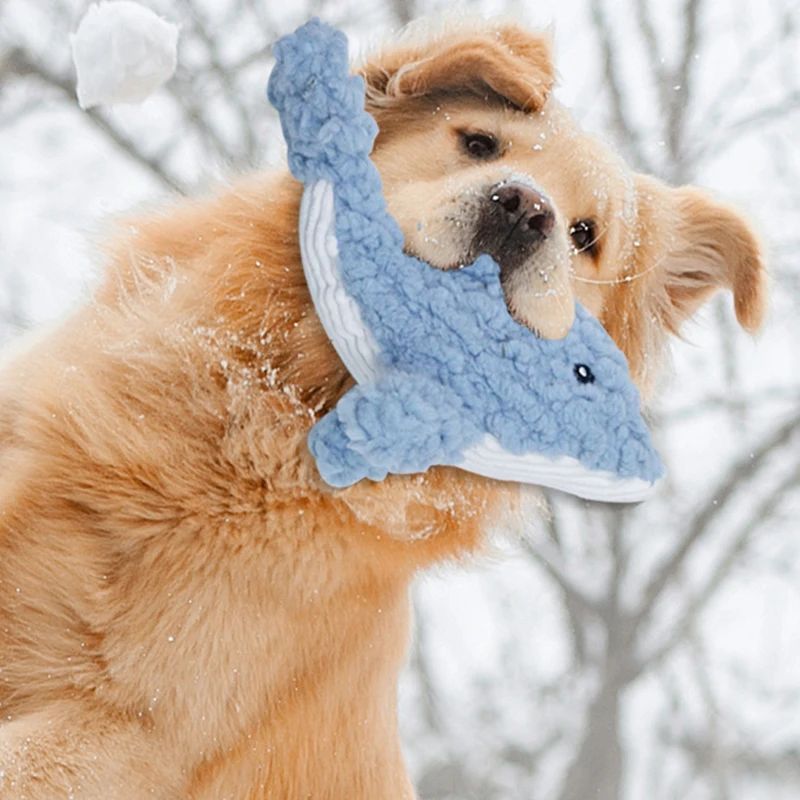 Plush Dog Squeaky Toys