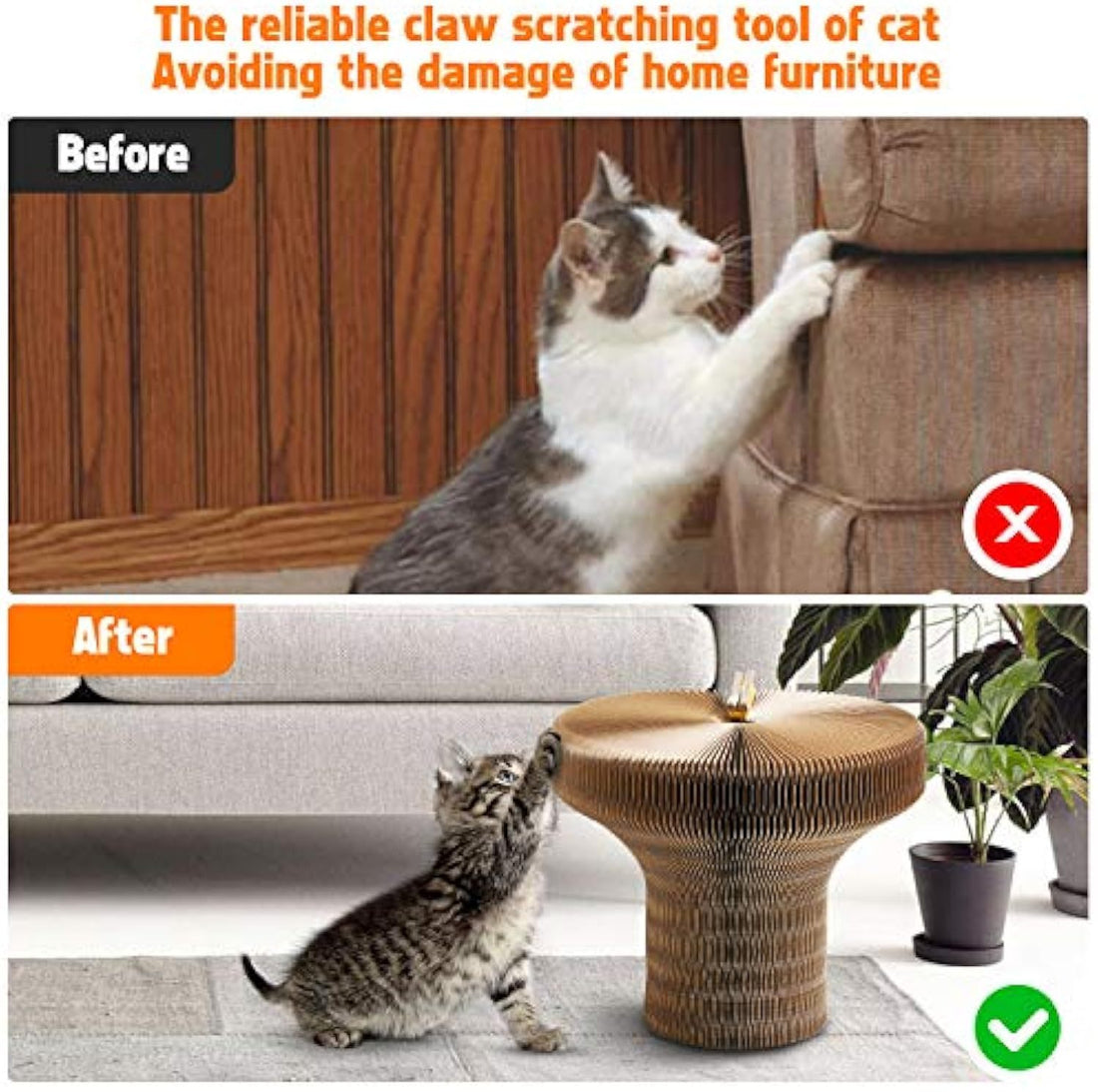 Pet Scratcher Lounge Bed