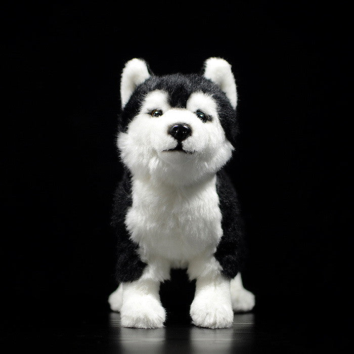 Mandarin Eyes Husky Dog Plush Toys