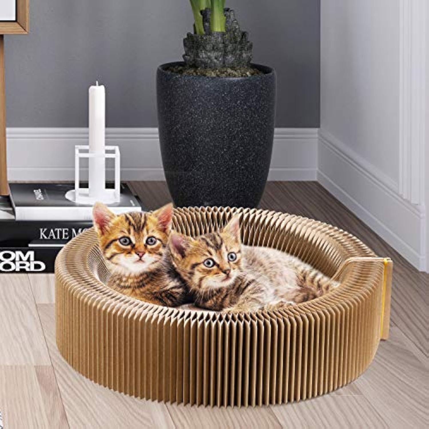 Pet Scratcher Lounge Bed