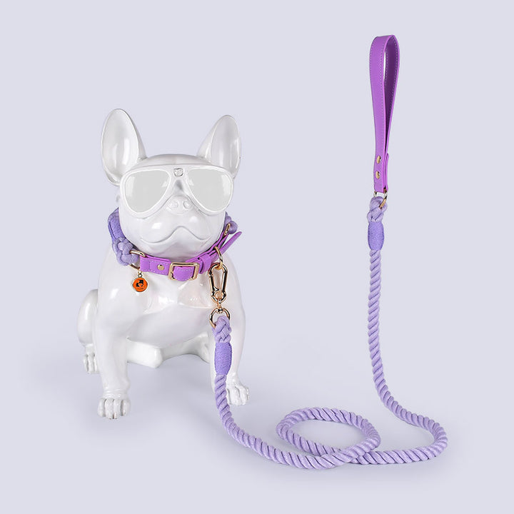 Leather Pet Leash Collar