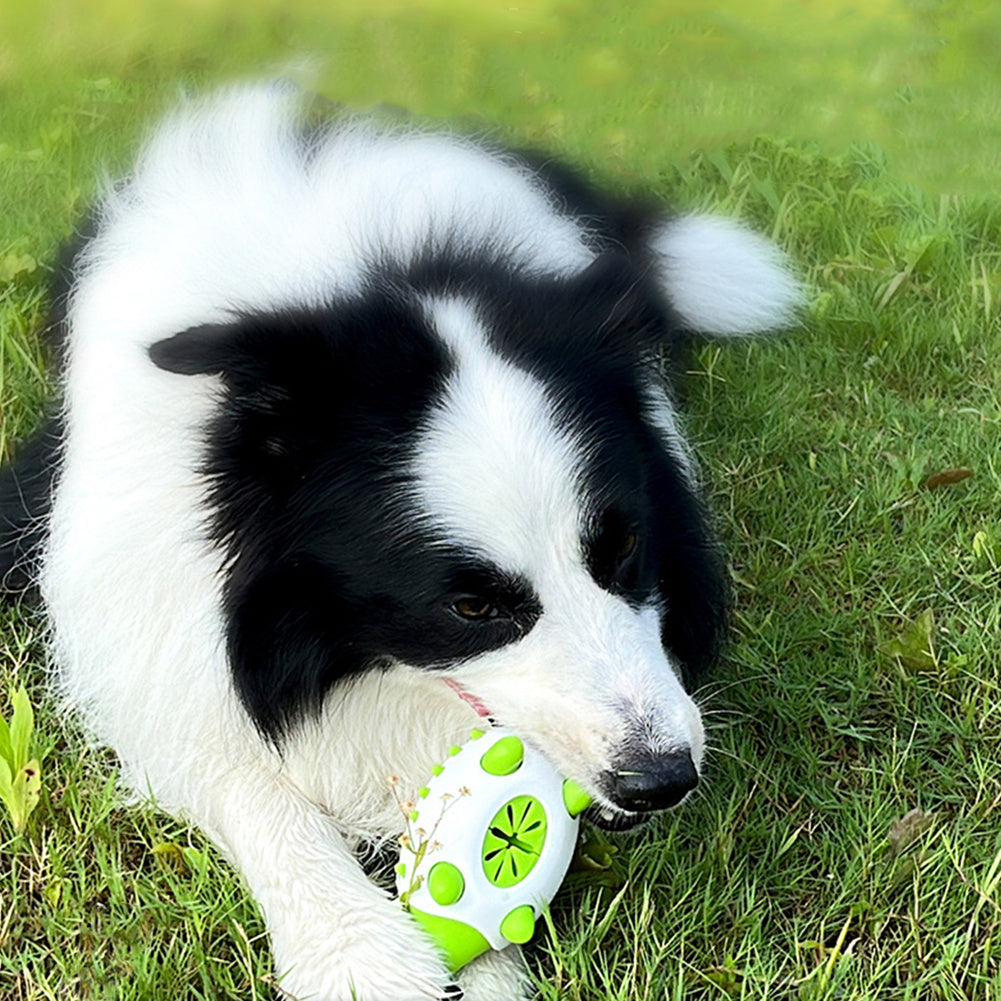 Pet Interactive TPR Leaking Food Toys