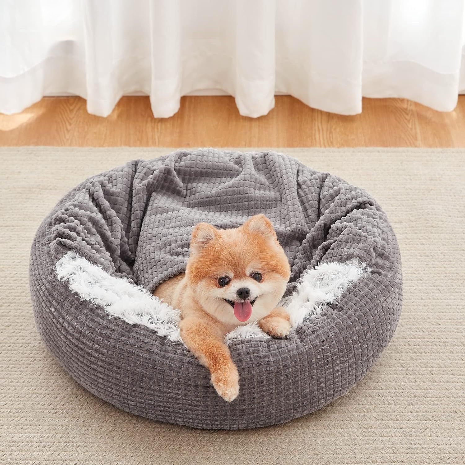 Small Dog Bed With Blanket