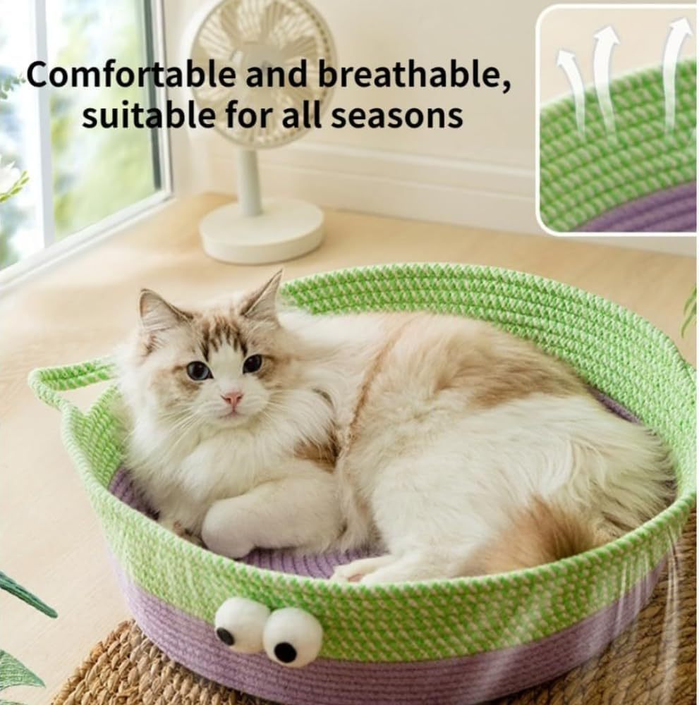 Scratch Cat Bed For Indoor