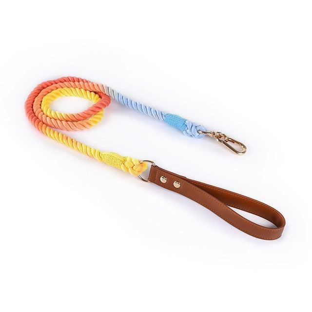Leather Pet Leash Collar