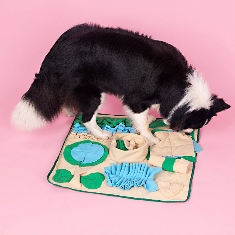 Snuffle Mat for Dogs