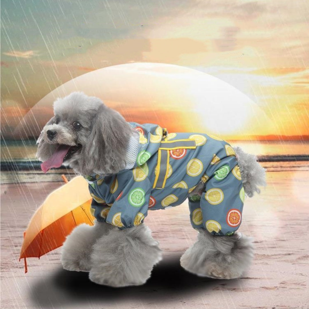 Pet Raincoat Four-legged