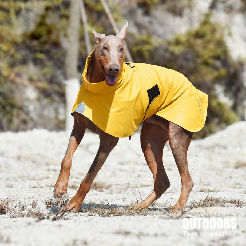 Pet Waterproof Windproof Raincoat